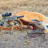 375 Raptor Subsonic - Image 6